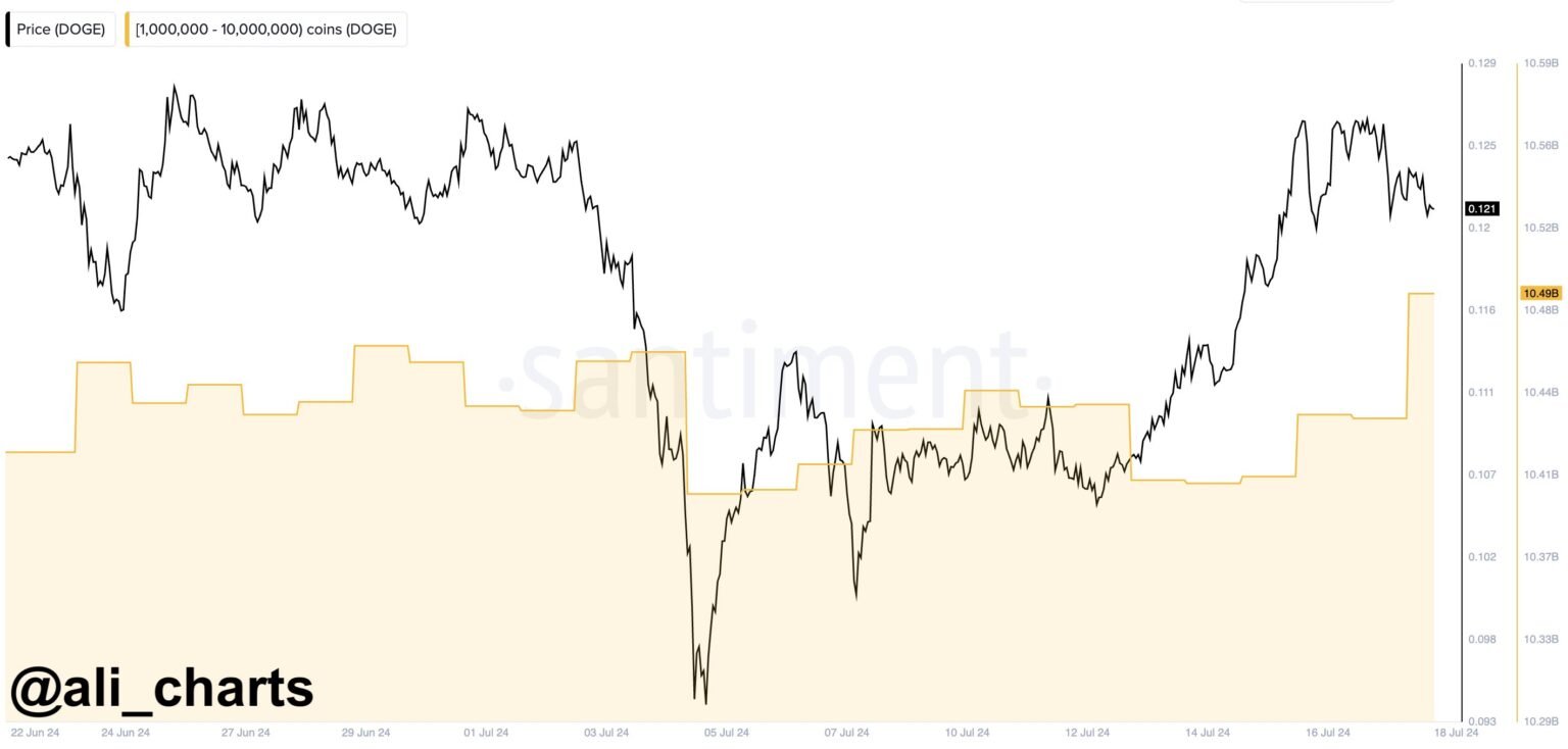 Dogecoin Whales Fill Up Bags As DOGE Price Dips 5%
