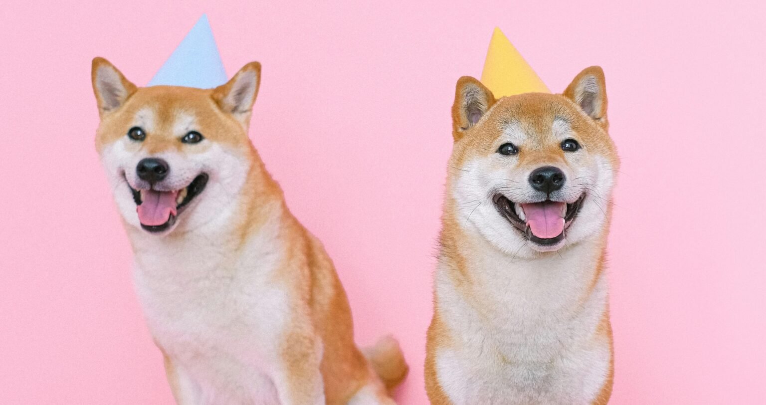 Here’s How The Layer-2 Solution Has Fared Since Launch