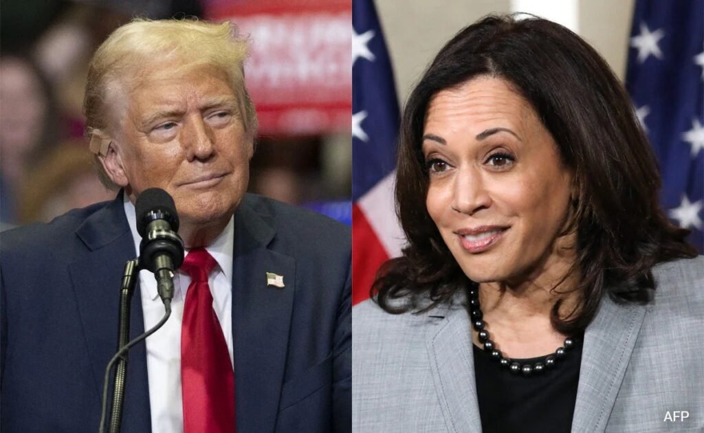 Crypto Expert Reveals Why Harris Leads Trump On Polymarket
