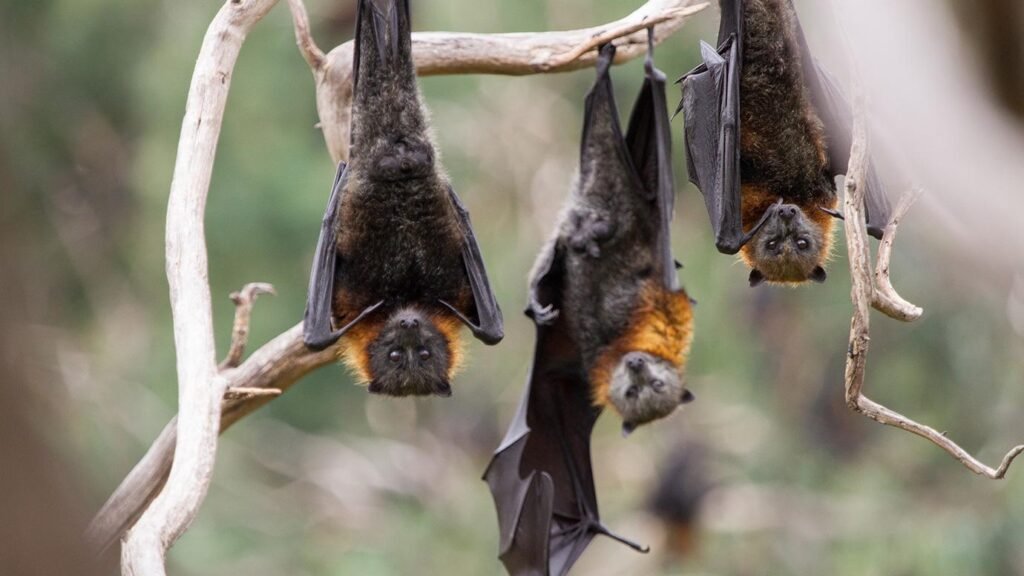 Vitalik Buterin Labels Michael Saylor’s Bitcoin Comments ‘Batshit Insane’